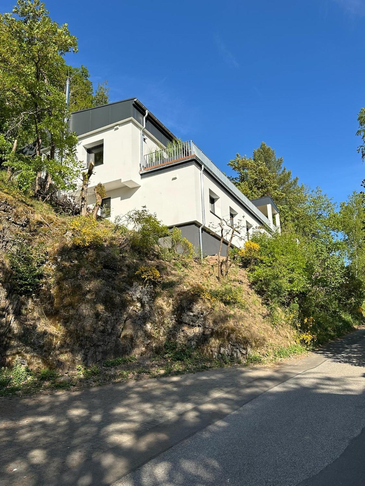 Villa Holgenbach - Penthouse- Und Ferienwohnung Im Nationalpark Eifel 施莱登 外观 照片