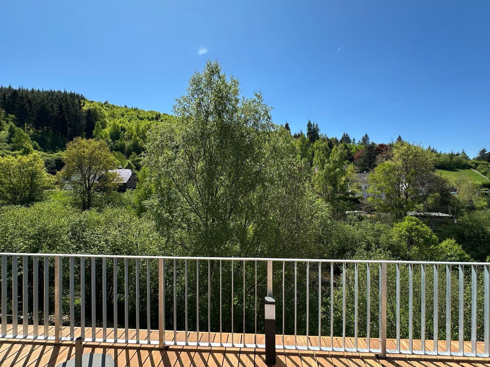 Villa Holgenbach - Penthouse- Und Ferienwohnung Im Nationalpark Eifel 施莱登 外观 照片