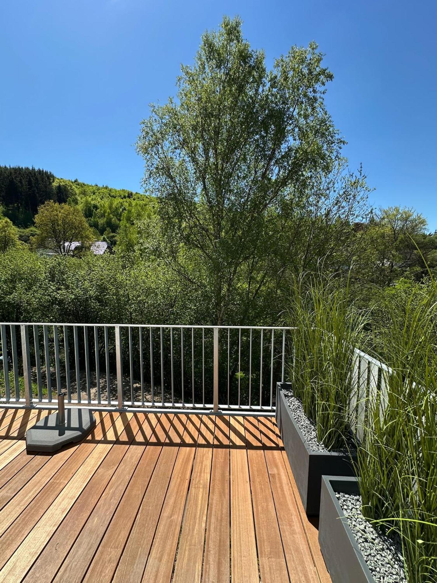 Villa Holgenbach - Penthouse- Und Ferienwohnung Im Nationalpark Eifel 施莱登 外观 照片
